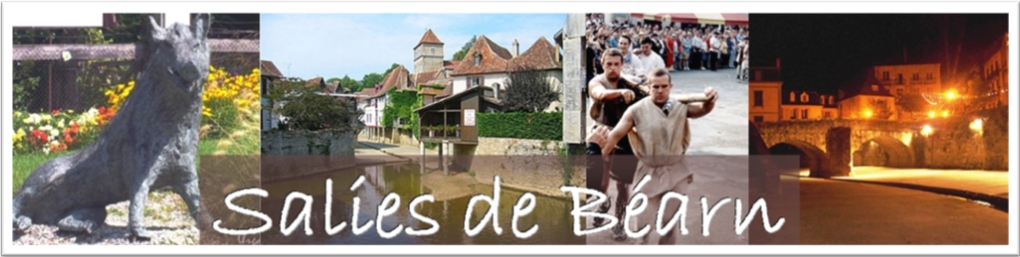 salies de bearn git de france pyrennees atlantiques